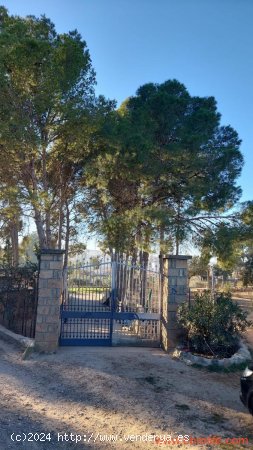  Chalet en venta en Caspe (Zaragoza) 