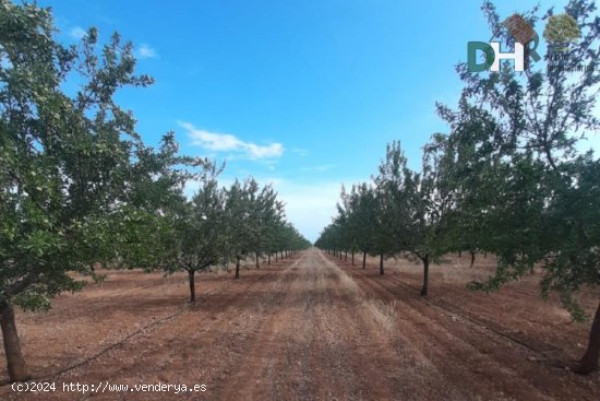 Solar en venta en Ciudad Real (Ciudad Real)