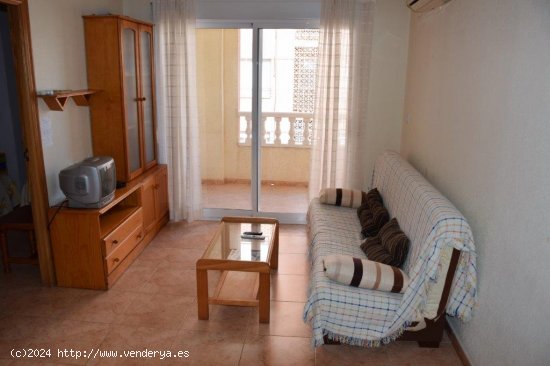 Apartamento en alquiler en Guardamar del Segura (Alicante)