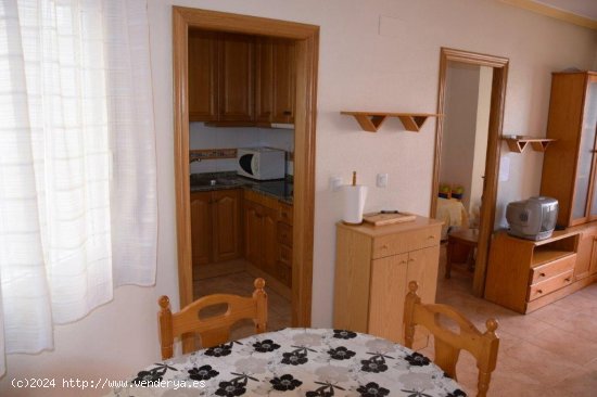 Apartamento en alquiler en Guardamar del Segura (Alicante)