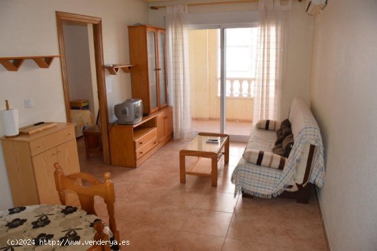 Apartamento en alquiler en Guardamar del Segura (Alicante)