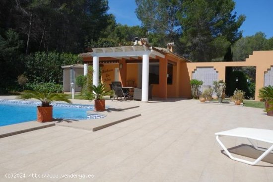 Finca en venta en Dénia (Alicante)