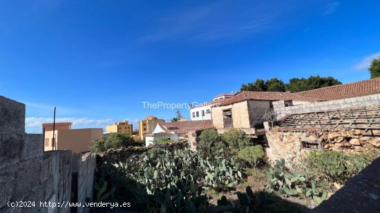 Finca en venta en Arona (Tenerife)