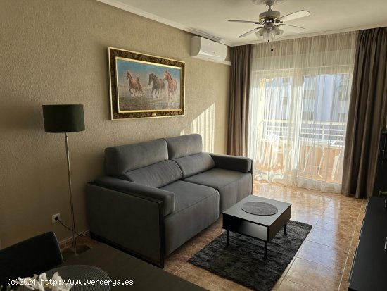 Apartamento en alquiler en Guardamar del Segura (Alicante)