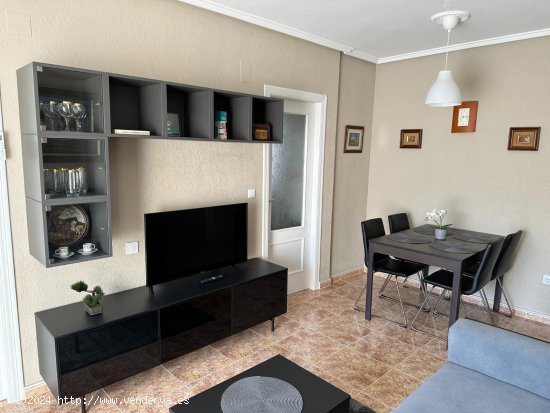 Apartamento en alquiler en Guardamar del Segura (Alicante)