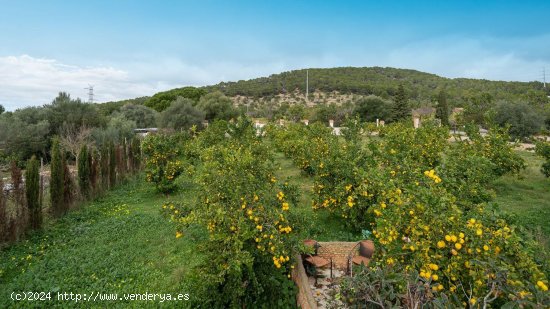 Casa en venta en Calvià (Baleares)