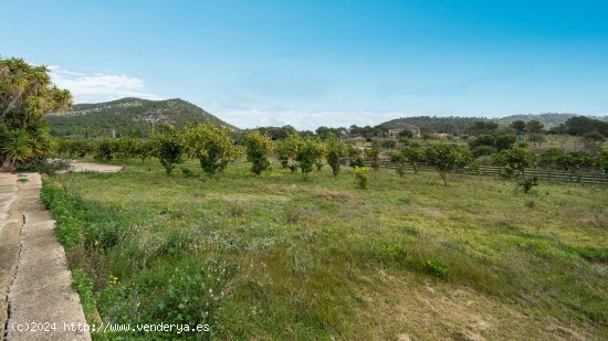 Casa en venta en Calvià (Baleares)