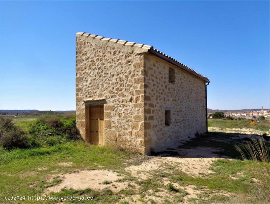 Finca en venta en Maella (Zaragoza)