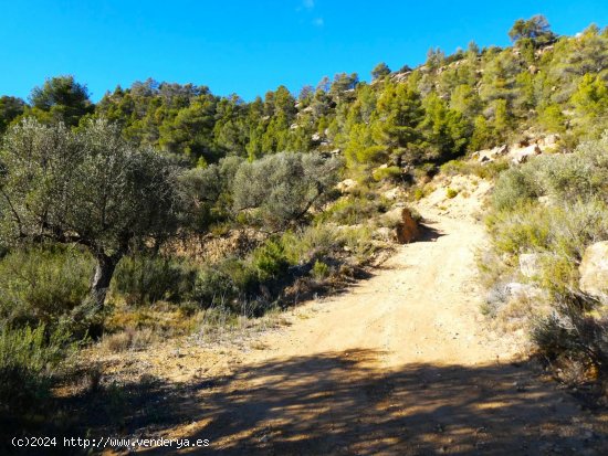 Finca en venta en Calaceite (Teruel)