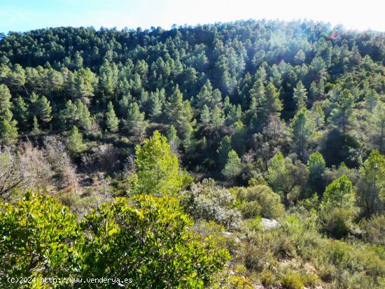 Finca en venta en Calaceite (Teruel)