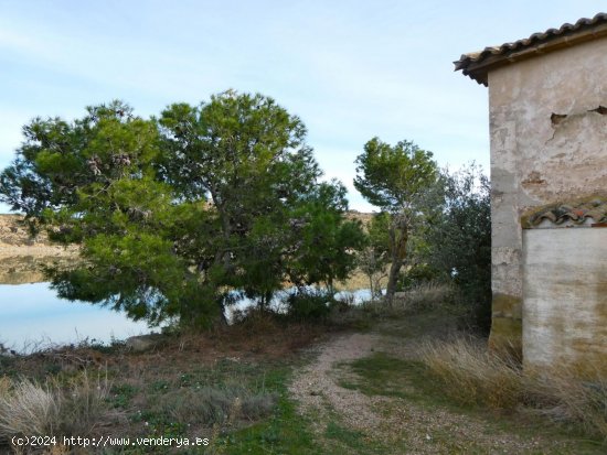 Finca en venta en Caspe (Zaragoza)