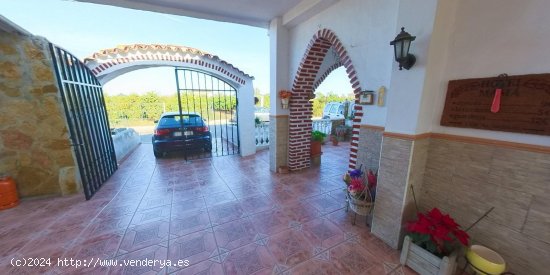 Finca en venta en Oliva (Valencia)