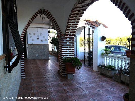 Finca en venta en Oliva (Valencia)