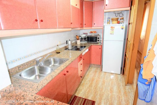 Apartamento en alquiler en Guardamar del Segura (Alicante)