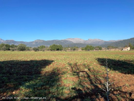 Solar en venta en Campanet (Baleares)