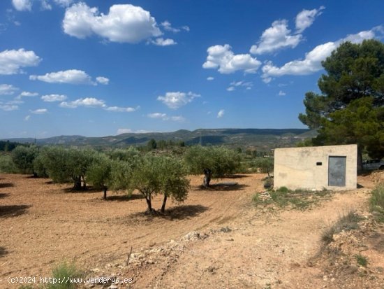  Finca en venta en Zarra (Valencia) 