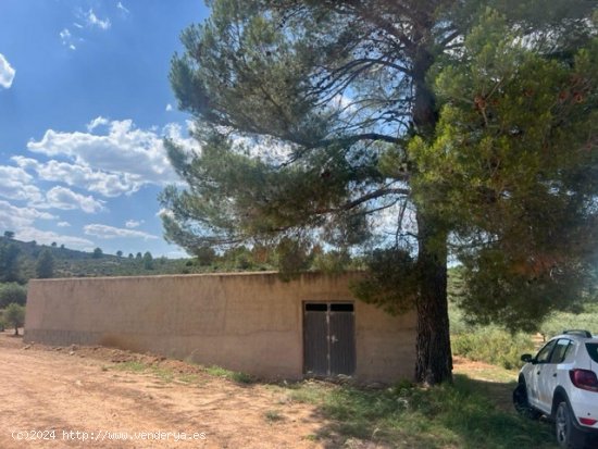 Finca en venta en Zarra (Valencia)