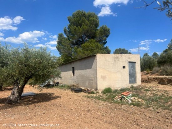 Finca en venta en Zarra (Valencia)