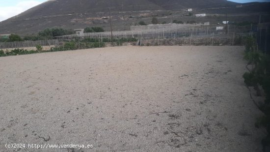 Solar en venta en Granadilla de Abona (Tenerife)