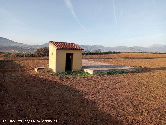  Finca en venta en Alhaurín el Grande (Málaga) 