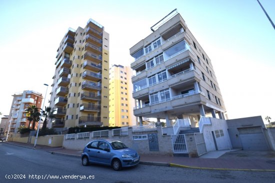  Apartamento en venta en Guardamar del Segura (Alicante) 