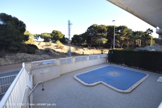 Apartamento en venta en Guardamar del Segura (Alicante)