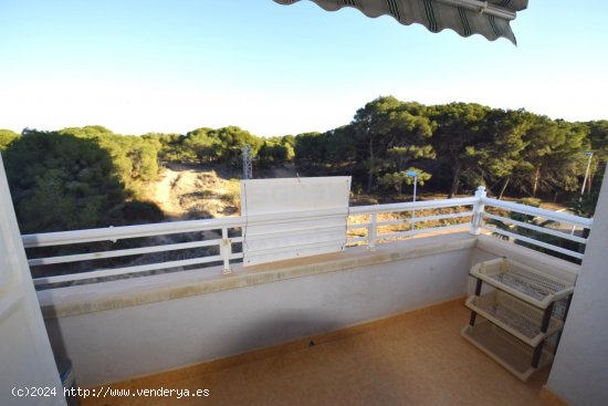 Apartamento en venta en Guardamar del Segura (Alicante)