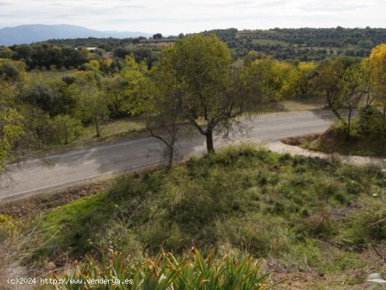 Finca en venta en El Grado (Huesca)