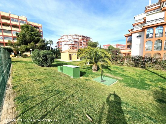 Apartamento en venta en Torrevieja (Alicante)