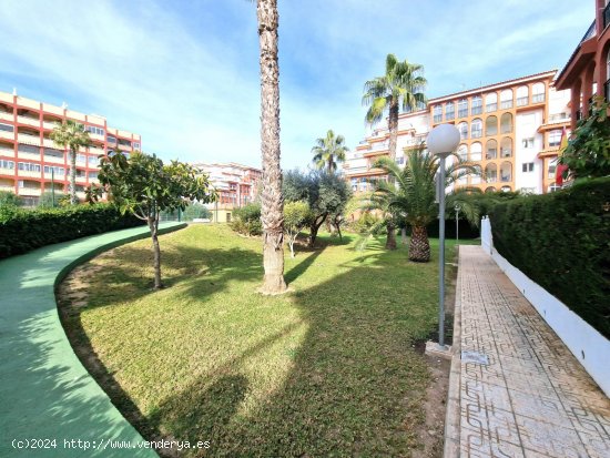 Apartamento en venta en Torrevieja (Alicante)