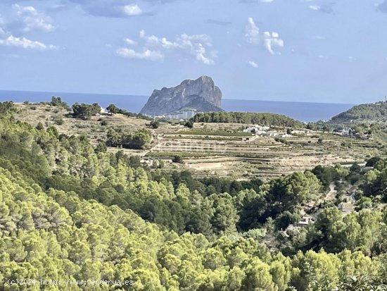 Solar en venta en Benissa (Alicante)