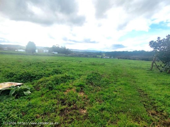 Parcela en venta en Tapia de Casariego (Asturias)