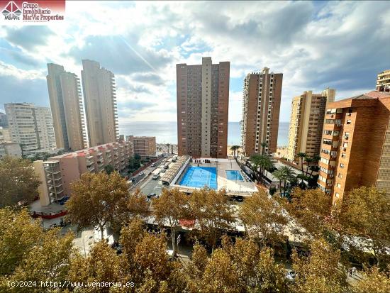  Venta de Apartamento en Benidorm - Zona Levante a 100 Metros de la Playa - ALICANTE 