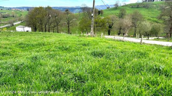 TERRENO URBANIZABLE CON LICENCIA DE OBRA - CANTABRIA