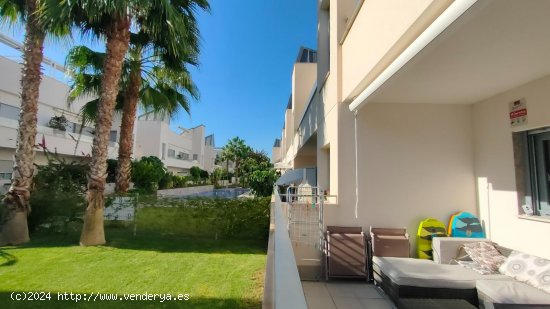 Apartamento en venta en Torrevieja (Alicante)