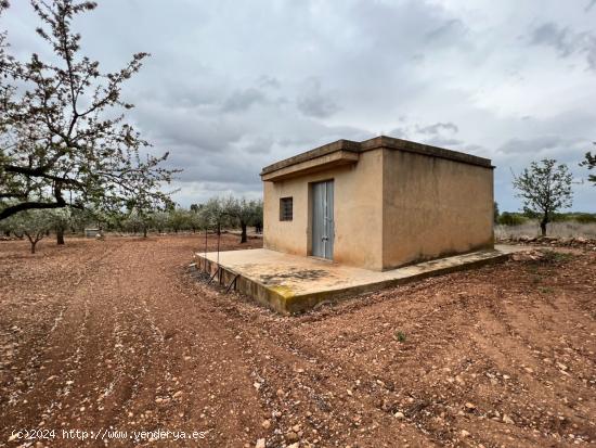  CASA DE CAMPO CON PARCELA GRANDE - VALENCIA 