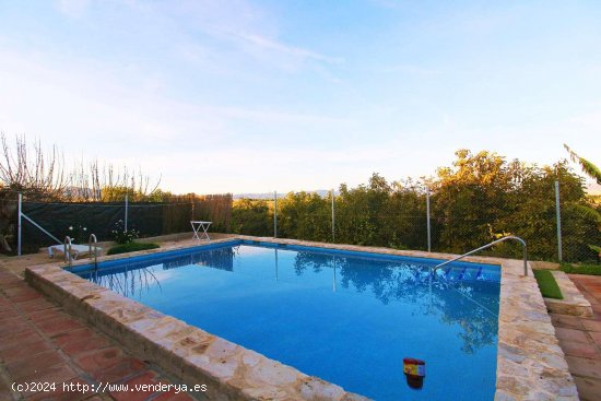 Villa en alquiler en Alhaurín de la Torre (Málaga)