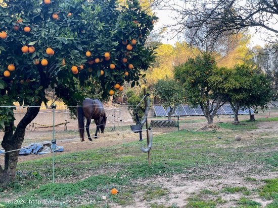 Finca en venta en Costitx (Baleares)