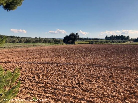 Finca en venta en Torre del Compte (Teruel)