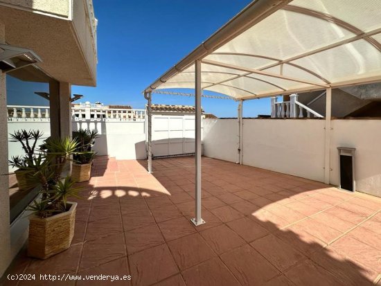 Chalet en venta en San Miguel de Salinas (Alicante)