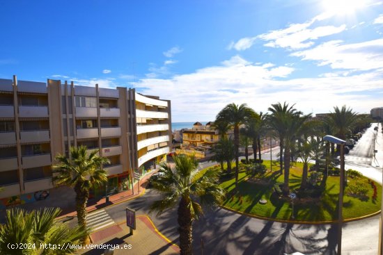  Apartamento en venta en Guardamar del Segura (Alicante) 