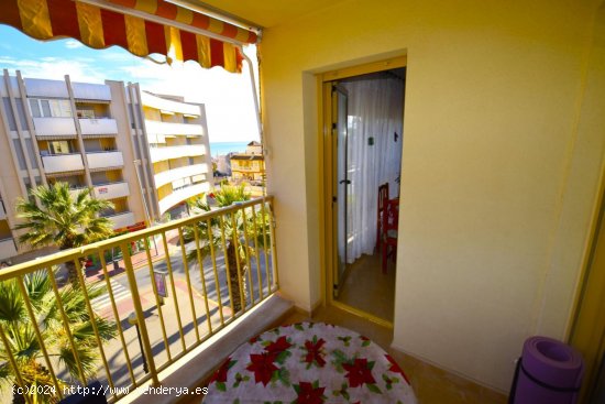 Apartamento en venta en Guardamar del Segura (Alicante)