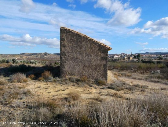 Finca en venta en Maella (Zaragoza)