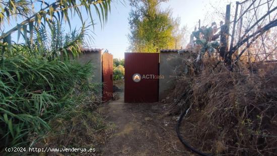 TERRENO RUSTICO DE REGADÍO EN LA RIVERA DEL MARCO - CACERES