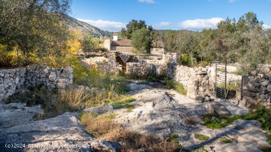 Finca en venta en Pollença (Baleares)