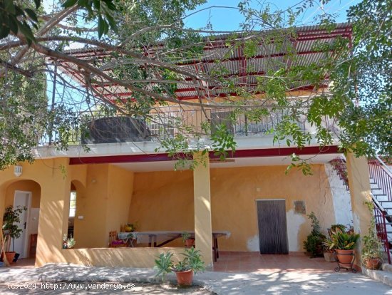 Finca en venta en Crevillent (Alicante)