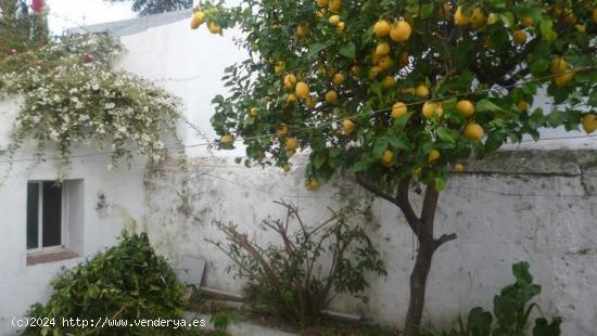 Amplia casa para reformar en el Casco Antiguo de Marbella - MALAGA