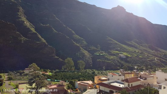 Parcela para invertir en Mogán (Las Palmas)