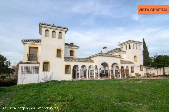  Chalet en alquiler en Alhendín (Granada) 