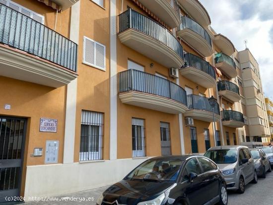  APARTAMENTO CON PATIO EN LA ZONA CERRO FALON - CADIZ 